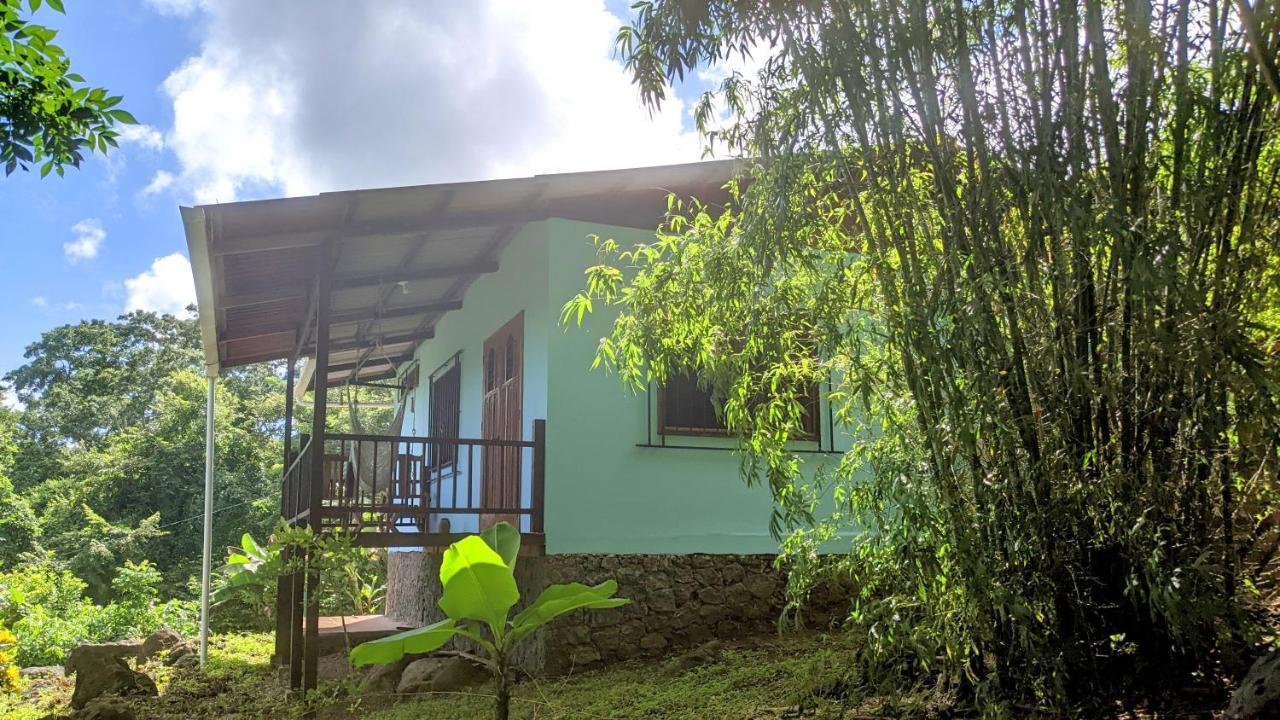 Balgue Selvista Guesthouses מראה חיצוני תמונה